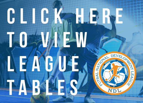 NDL - League Tables 500x360